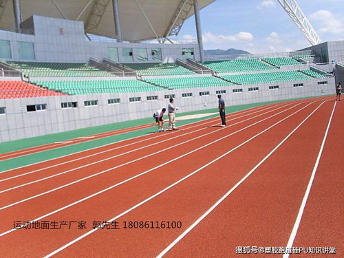 塑膠跑道產品深度解析 特性、類型與工程應用