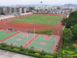 河南樂跑13mm新型優質塑膠跑道 塑膠跑道工程的新標桿